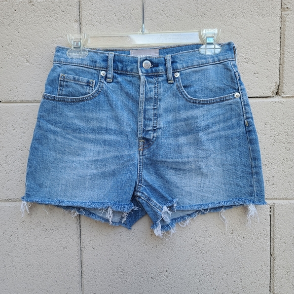 Everlane | The Cheeky High Waist Denim Cut Off Casual Summer Shorts Size 26 - Picture 2 of 10